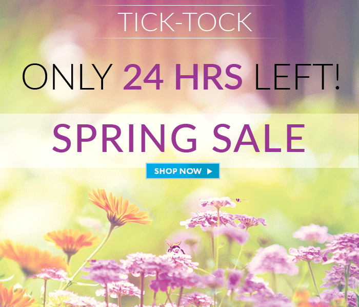 Tick Tock. Only 24 Hrs Left! Spring Sale. Shop Now >