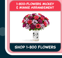 Mickey & Minnie Mouse in Love Vase with Love Always Bouquet