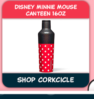 Disney Minnie Mouse Canteen 16oz