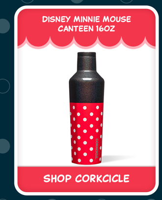 Disney Minnie Mouse Canteen 16oz