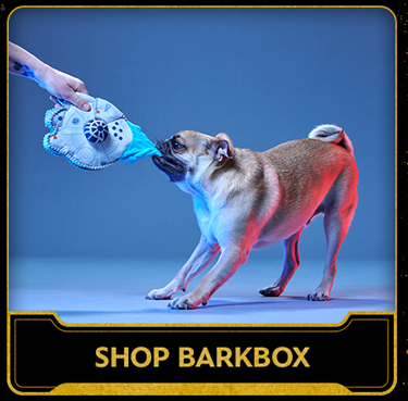 shop Barkbox