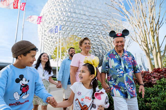 Use For Practically All Things Disney