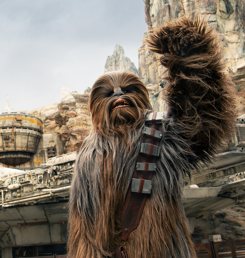 Chewbacca at Star Wars: Galaxy's Edge