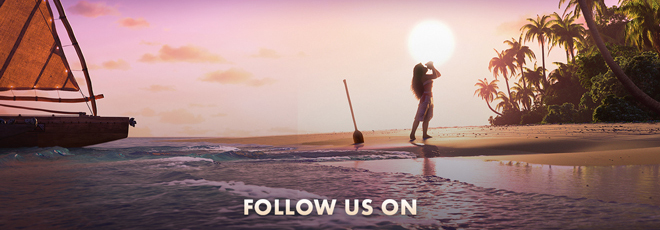 Follow Us On