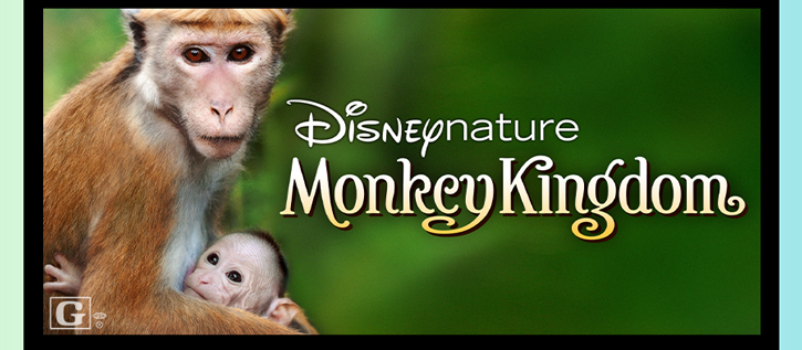 Monkey Kingdom