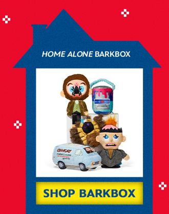 Home Alone BarkBox