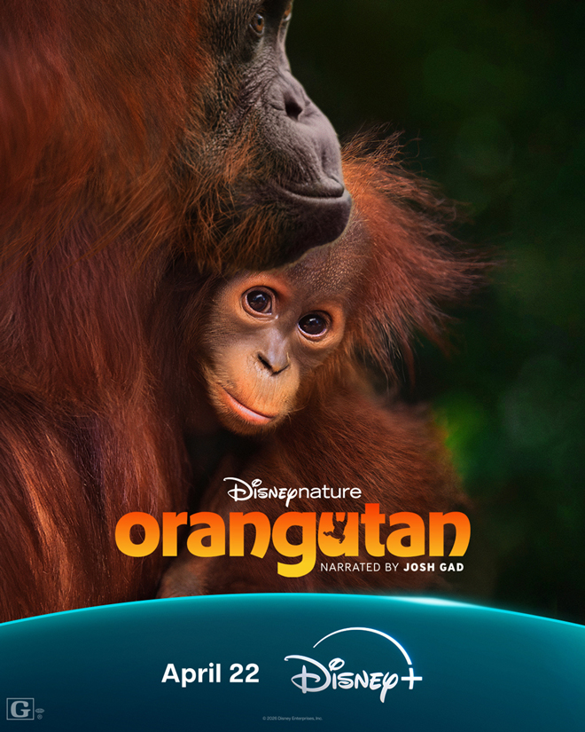 Disneynature's Orangutan
