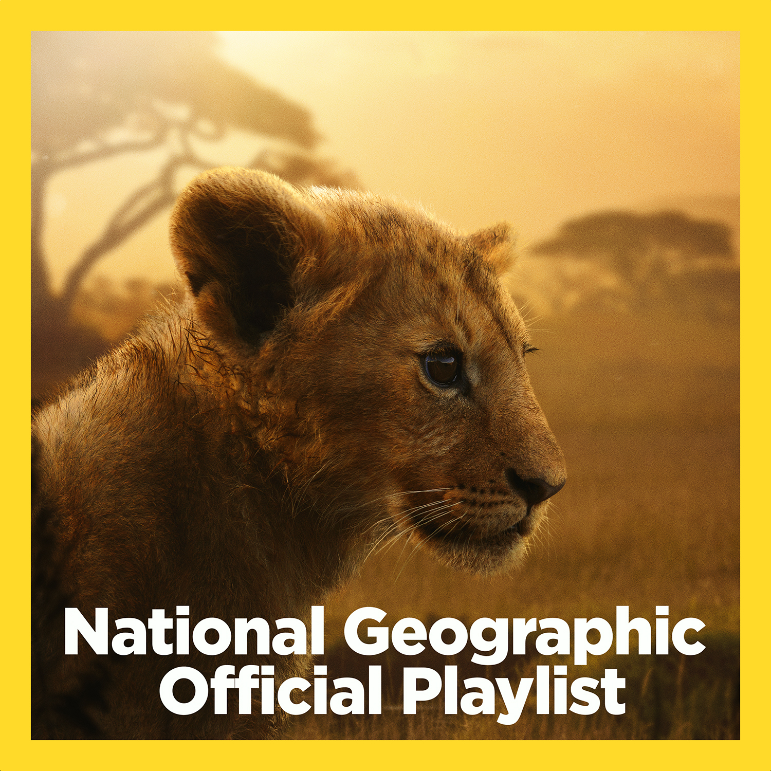 National Geographic Official Playlist