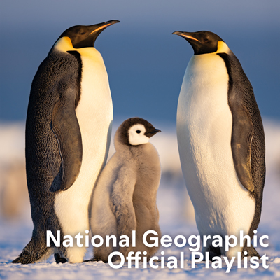 National Geographic Official Playlist