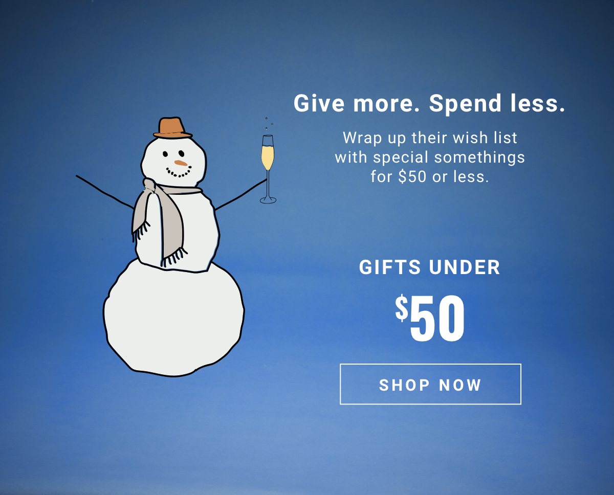 Give more spend less Gifts Under 50 dollars