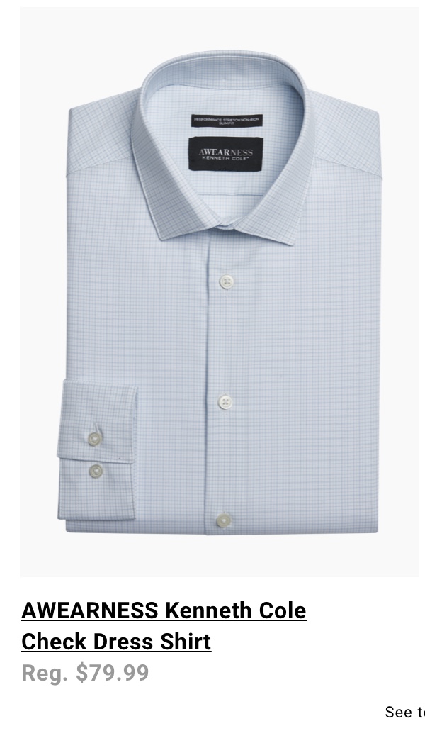 AWEARNESS Kenneth Cole Check Dress Shirt Reg. $79.99